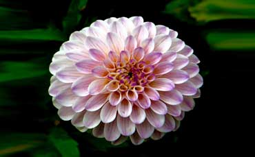 Trattamenti Vibrazionali